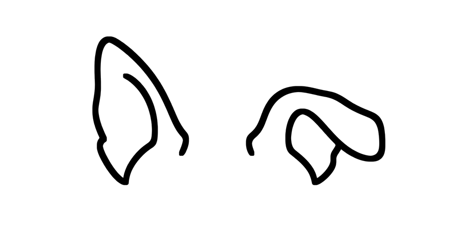 Animated dog ears